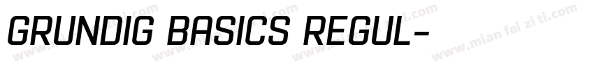 Grundig Basics Regul字体转换